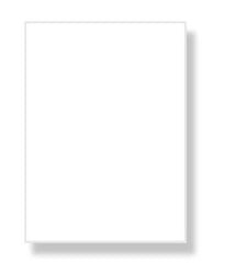 Chart Paper - (250g-21"x27")