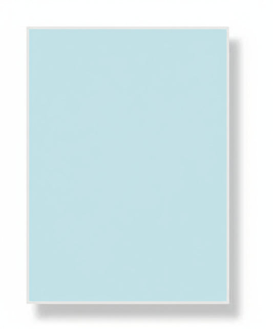 Chart Paper - (250g-21"x27")